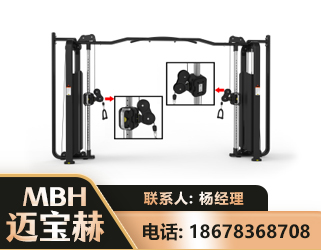 无锡大飞鸟训练器