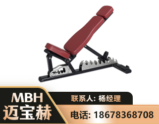 无锡可调哑铃椅
